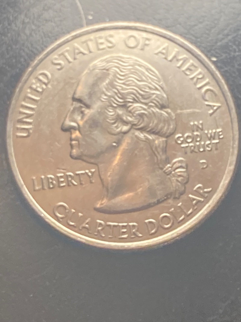 2006-North-Dakota-Q-Error-Or-Damage--Piece-Of-Mountain-In-Buffalos-Back