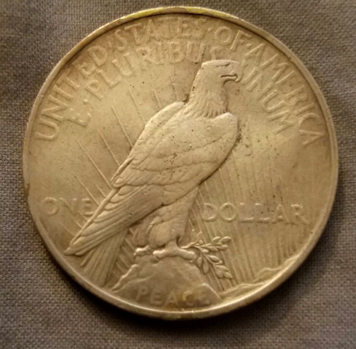 Why-Would-My-1922-Peace-Dollar-Be-Peeling?