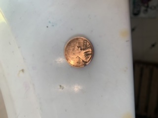 1984-Penny-Definitely-Has-Error-Trying-To-Figure-Out-What-Exactly