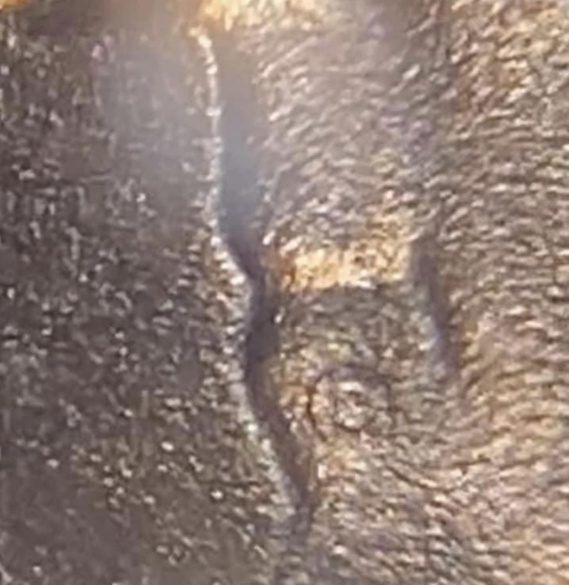 Rockwell-Hardness-Test-Mark-On-2019-W-San-Antonio-Quarter?