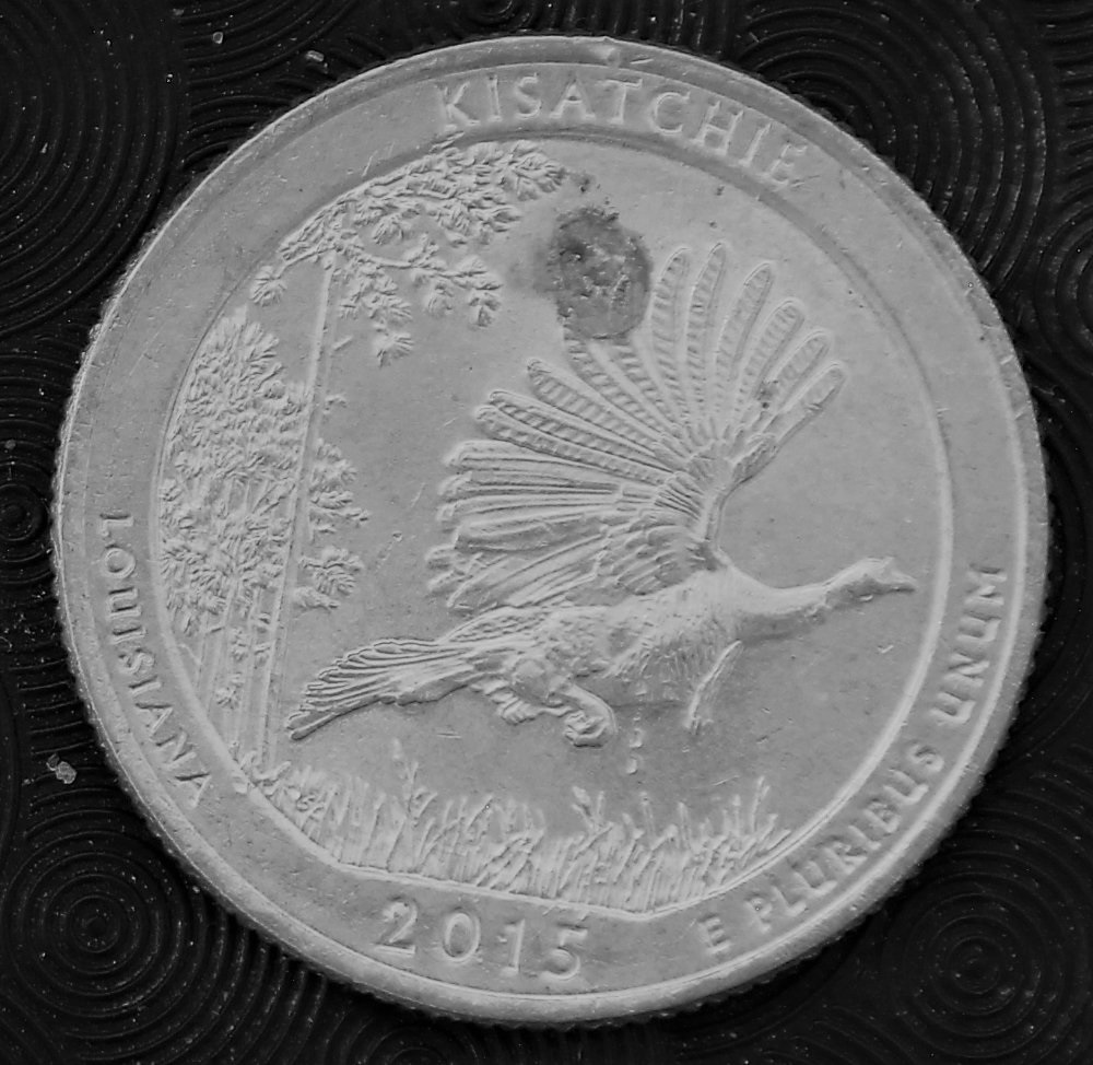 2015-Atb-Quarter-Bleeding-Turkey-With-Letters?