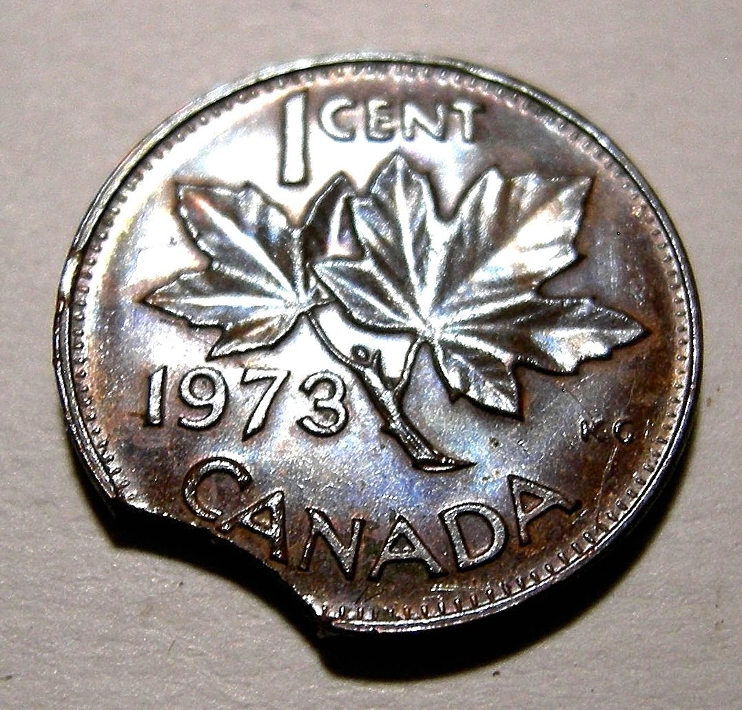 Cool-And-Sometimes-Crazy-Doubled-Clipped-Canadian-Errors