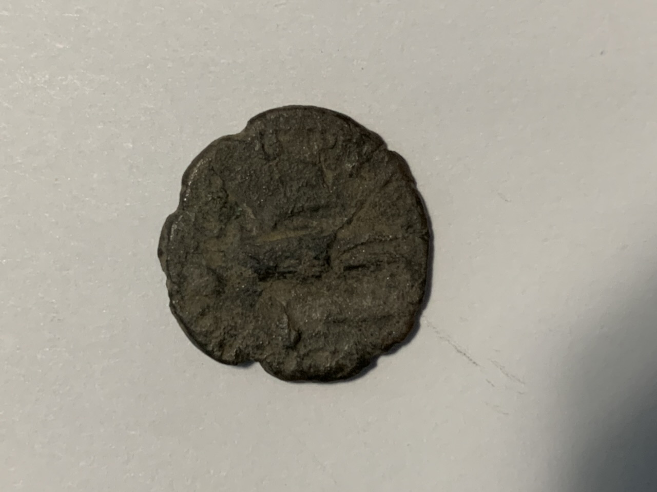 Identification-Help-Please