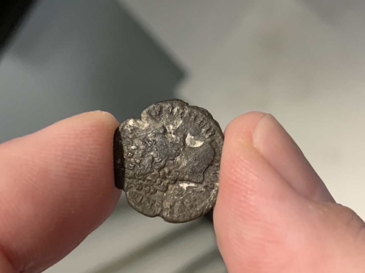 Identification-Help-Please