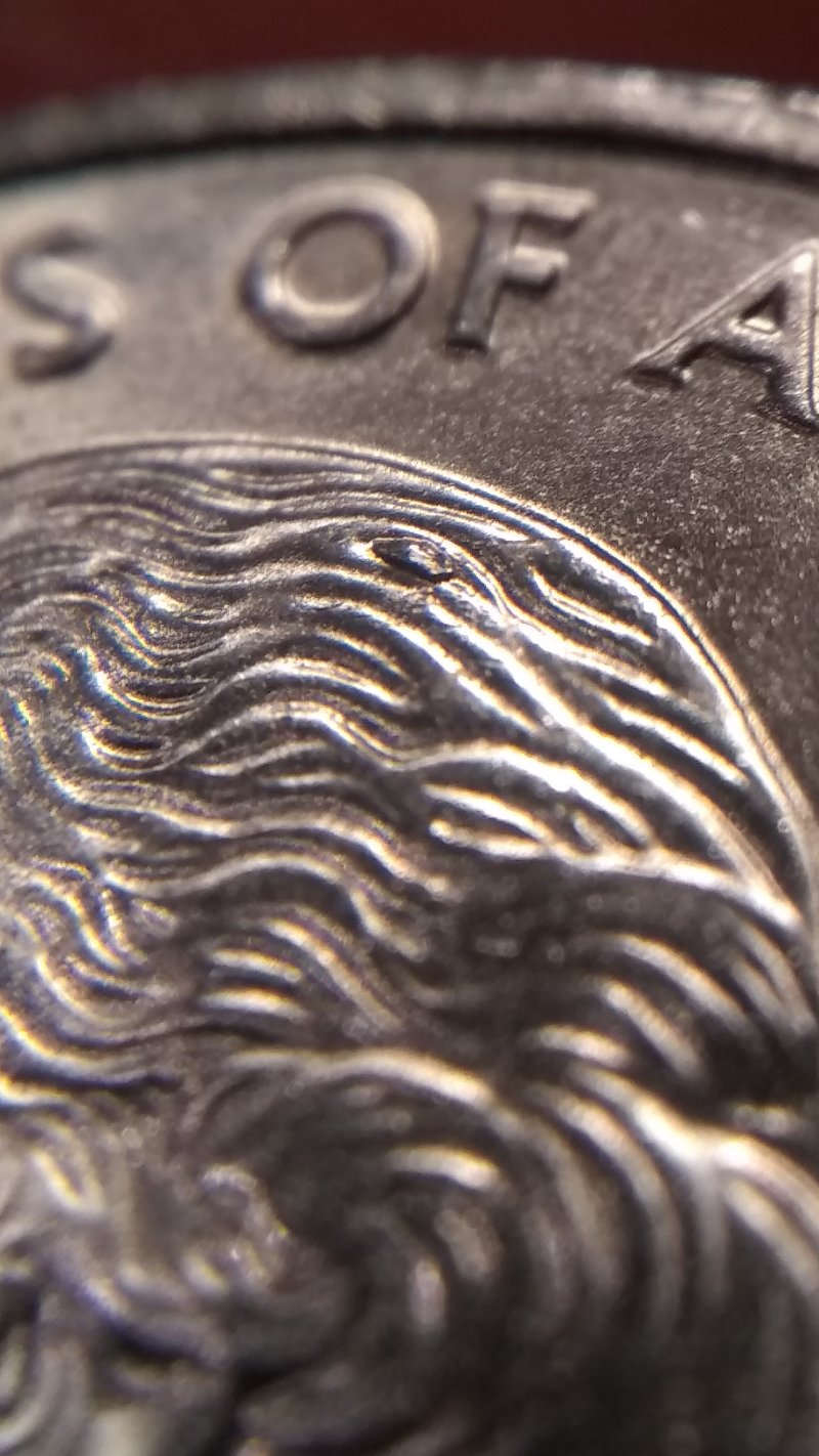 2006-P-Colorado-Quarter-Cud?