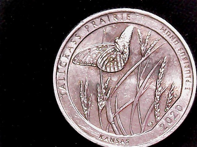 2020-W-Quarter,-Opinions-On-Color-And-A-Statement