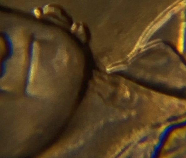 2022-Dr-Sally-Quarter-Die-Chip?