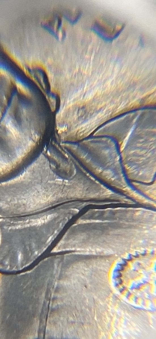 2022-Dr-Sally-Quarter-Die-Chip?