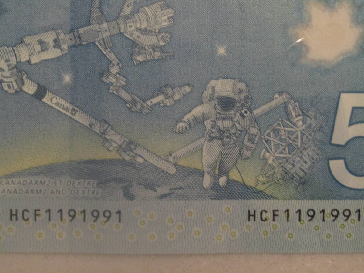 Whats-Your-Opinion-Of-This-$5-Canadian-Note