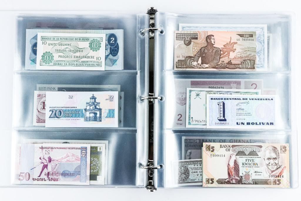 Just-Bought-This-Collection
