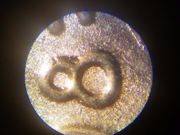 1983-D-Cent-Date-Question