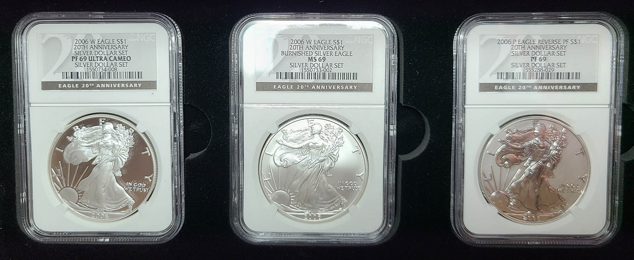 American-Silver-Eagle-2019-W-Reverse-Proof-Question