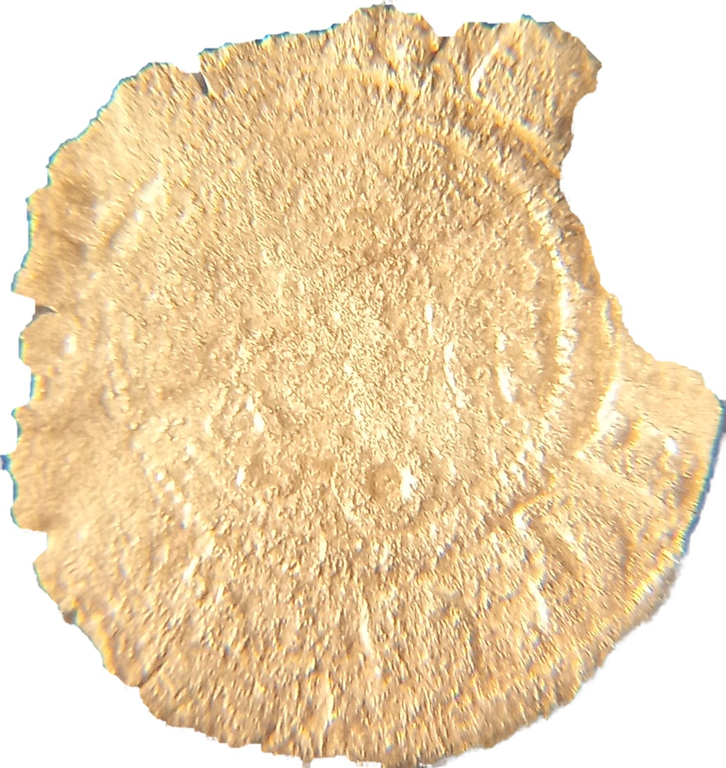 Identification-Of-Medieval-European-Coins