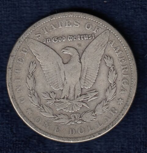 Noob-In-Collecting-Coins-/-Morgan-Dollars