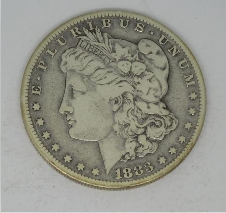 Noob-In-Collecting-Coins-/-Morgan-Dollars