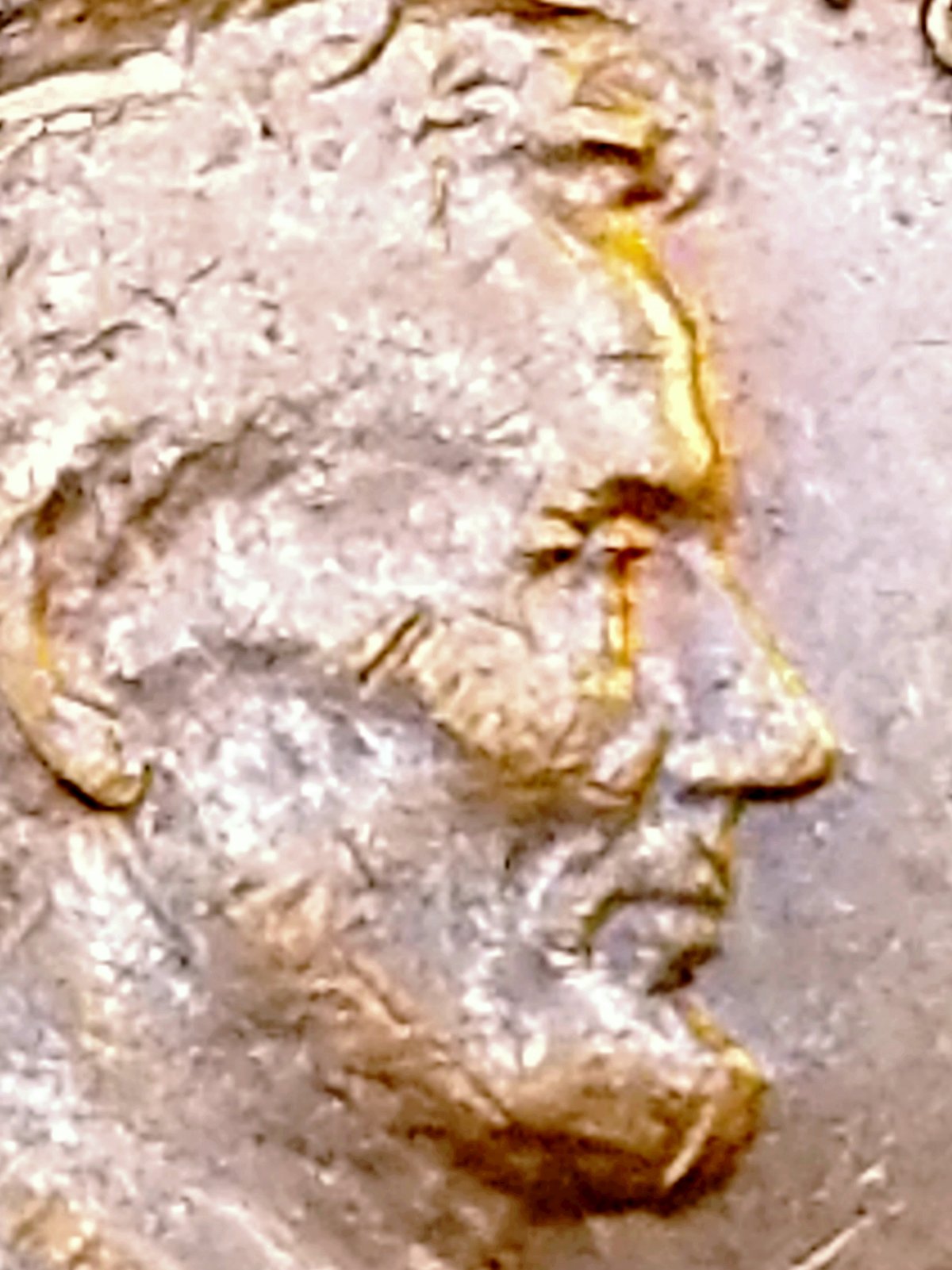 1973-DDOv-Eyelid-Take-2-With-Hopeful-Success