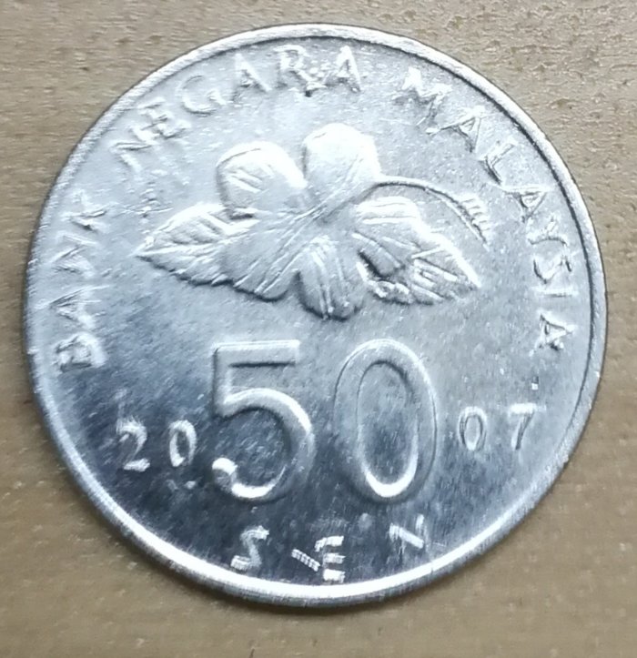 Malaysia-Flower-Pimples-On-Surfaces?-Fake-Coin?-Check-It-Out