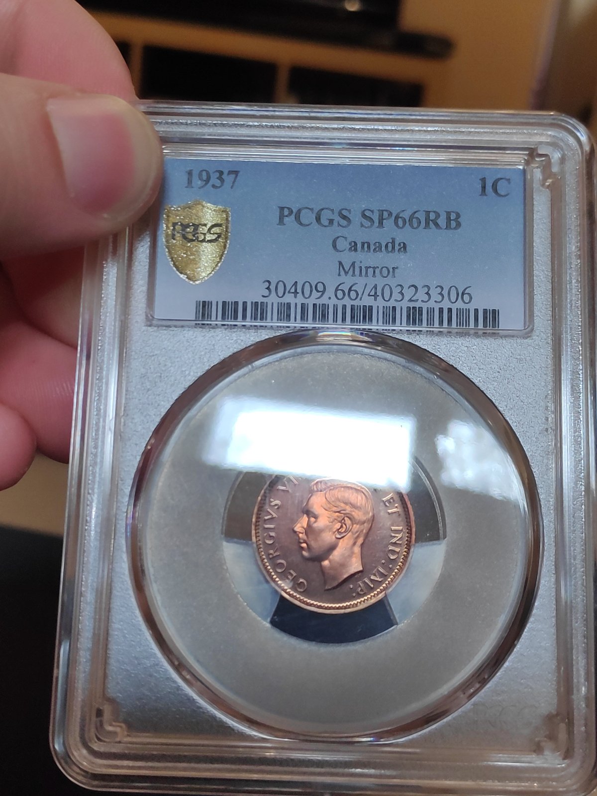 You-Vs-PCGS:-1937-Cent