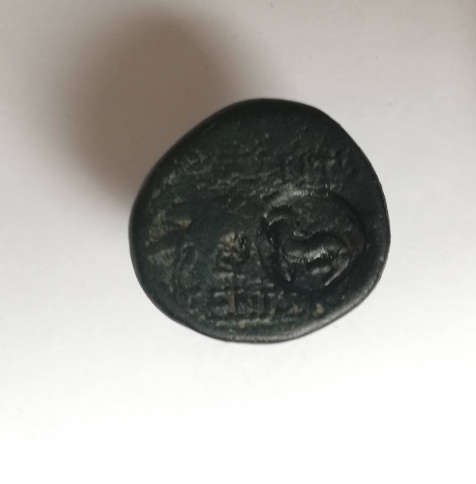 Greek-Coin-Id:-I-Guess-Medium-Level-Of-Difficulty