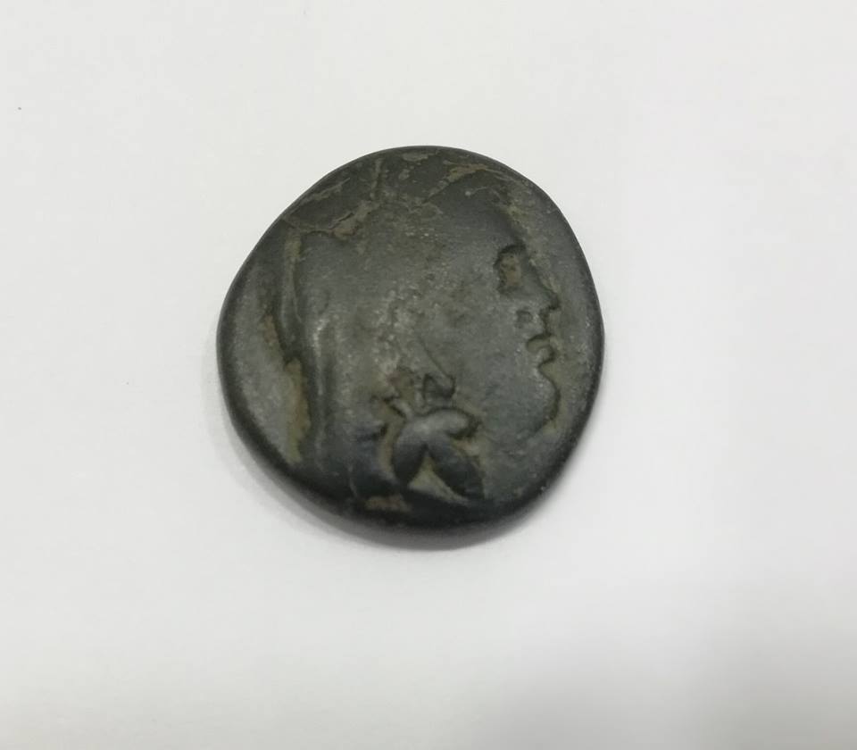 Greek-Coin-Id:-I-Guess-Medium-Level-Of-Difficulty