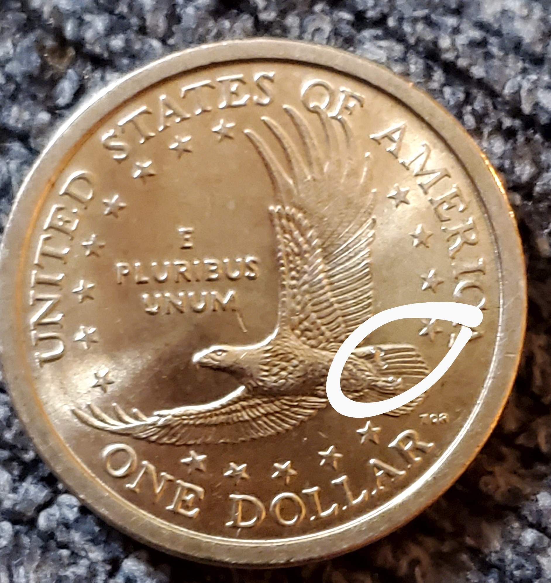 2000-P-Sacgawea-Dollar,-Newbie-Seeking-Feedback-On-Possible-Error/S