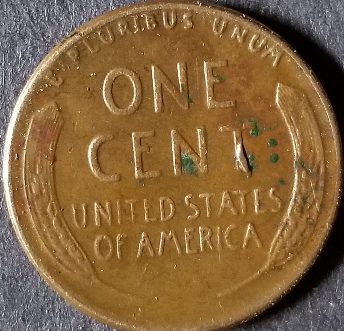 Is-Getting-A-Coin-Graded-The-Only-Way-To-Have-It-Validated.