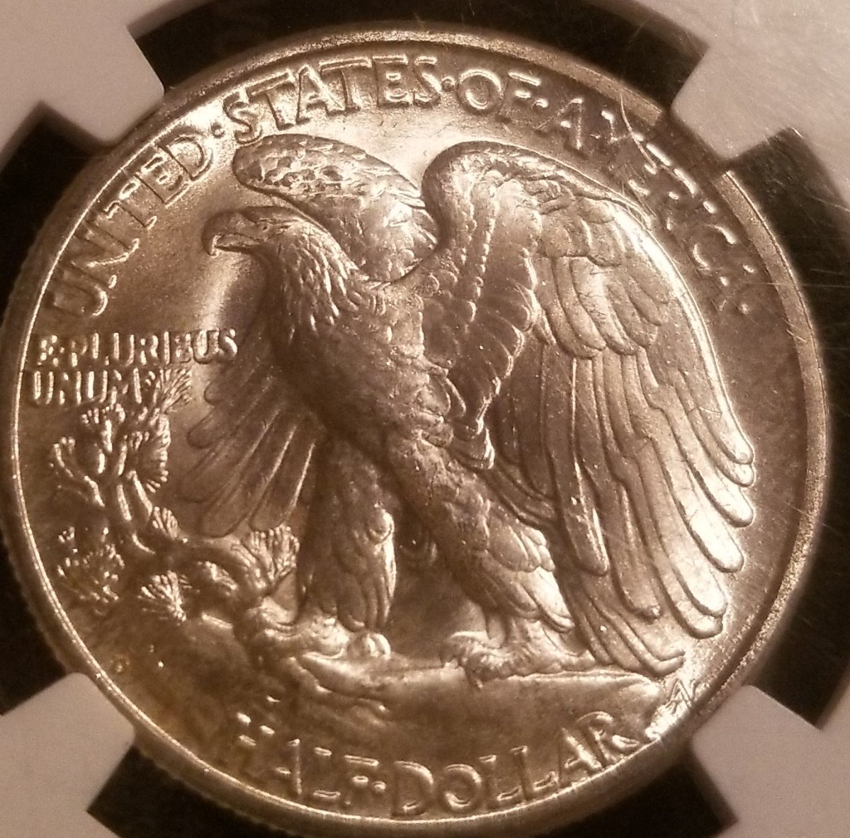 1946-Walking-Liberty-NGC-Coin