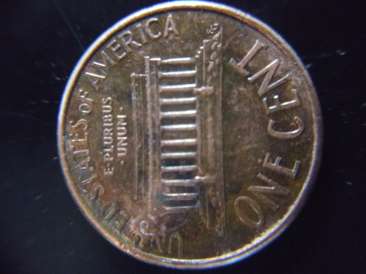 Hi,-I'm-Lexi,-And-I'm-New!-2008-Penny-Question
