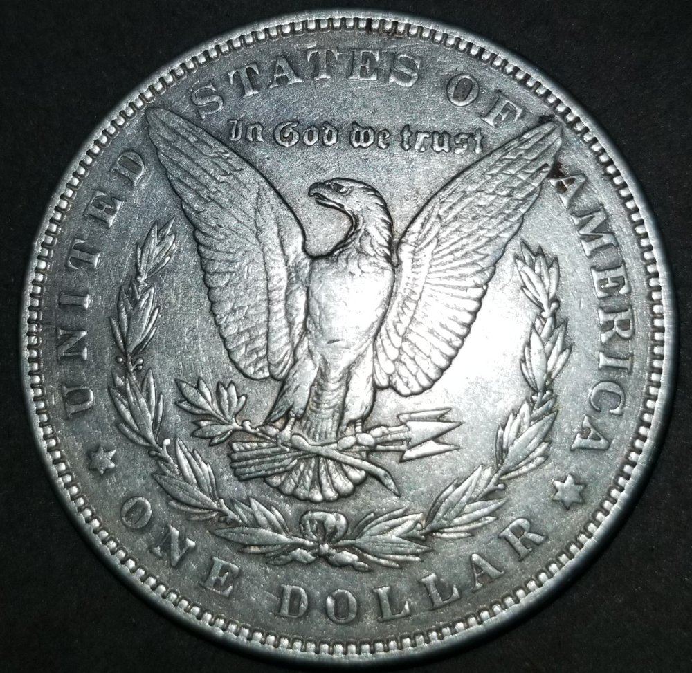 1886--Morgan-Dollar.-Learning-Curve.