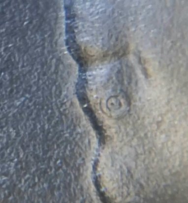 2019-W-Sam-Quarter-Error