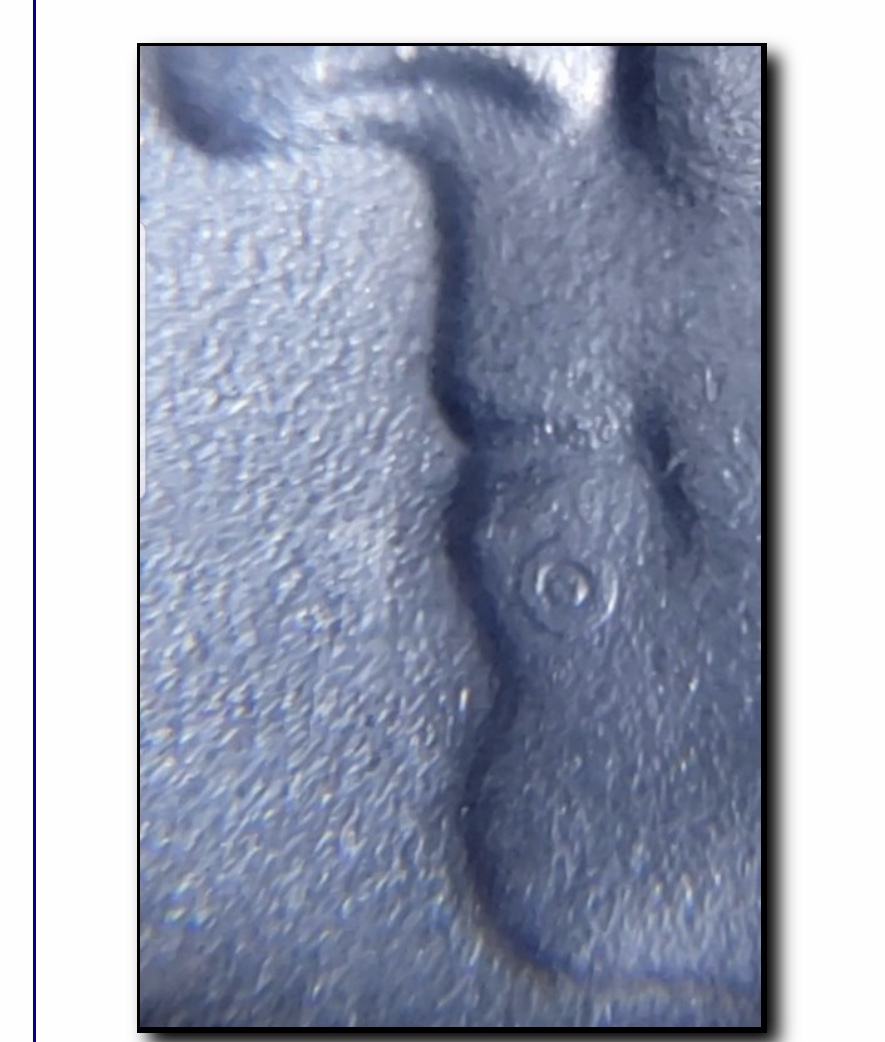 2019-W-Sam-Quarter-Circle-Die-Mark-On-Lip