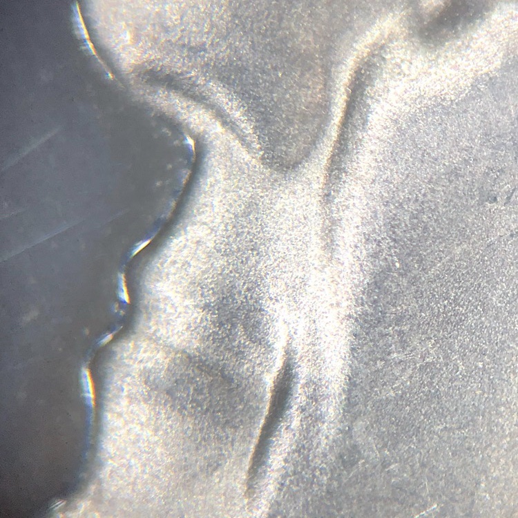 1991-S-Kennedy-Half-Dollar