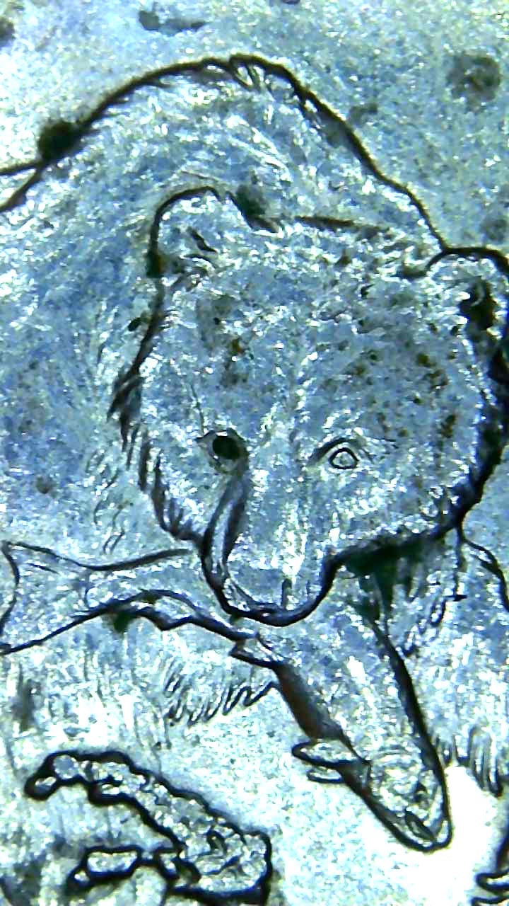 Alaska-State-Quarter.-Bear-No-Eye,-Cud's-,-Extra-Claw?