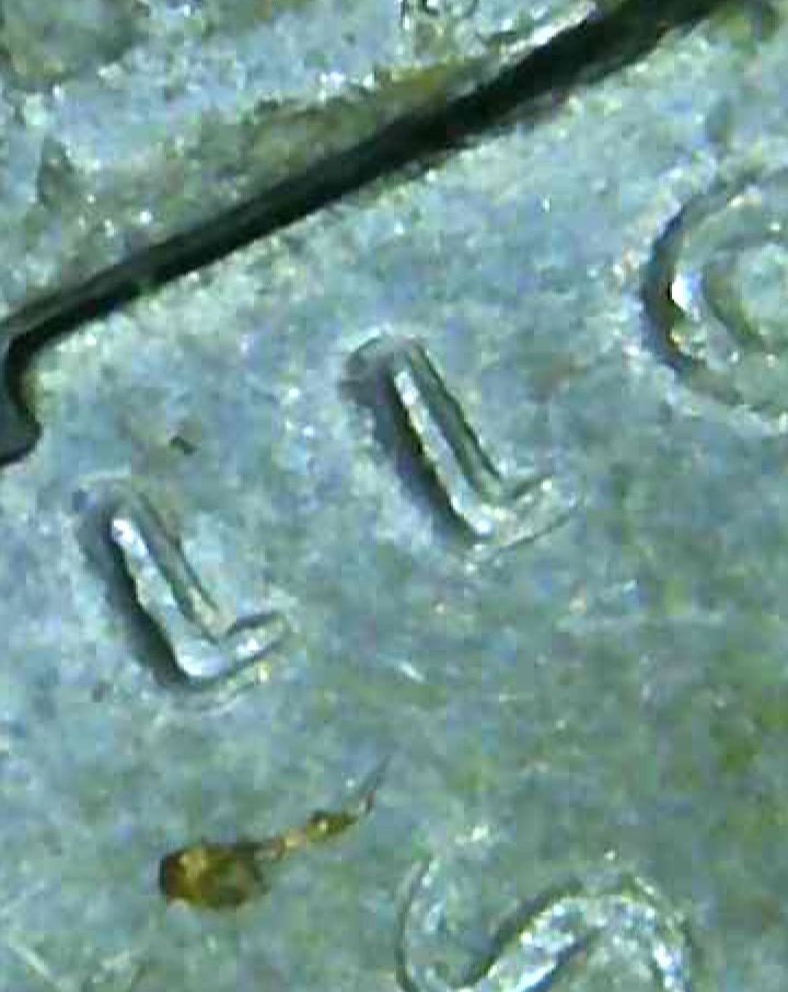 1963-Jefferson-Nickel-Odd-Lettering?