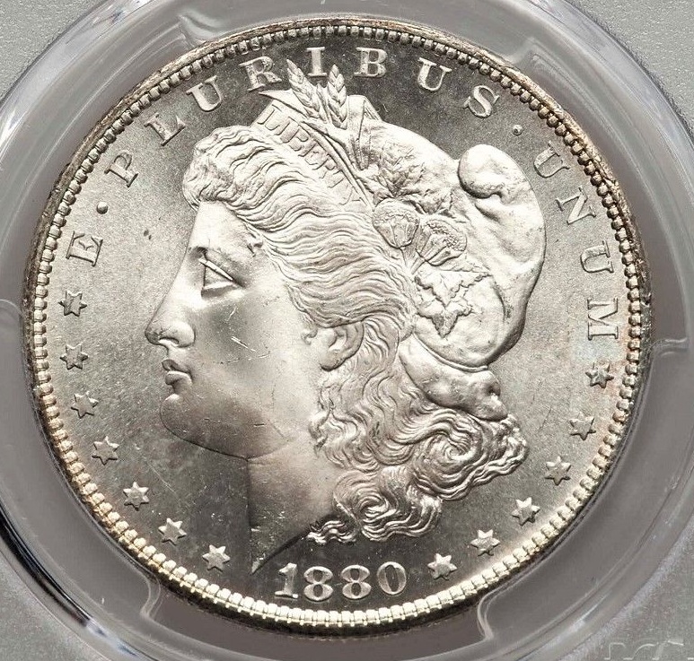 1880-S-Morgan-Dollar---You-Vs-Pgcs