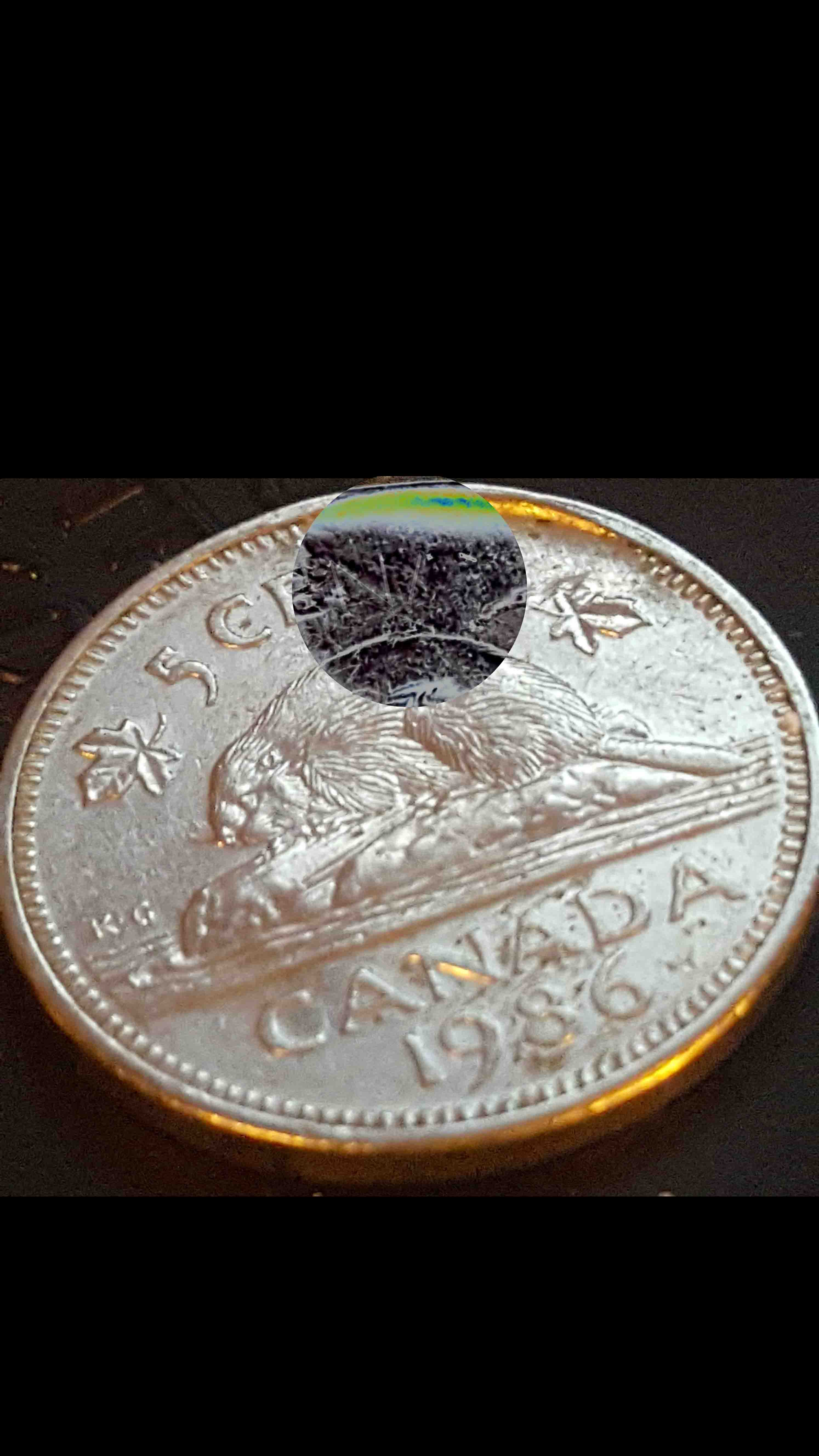 1996-Nickel-Attached-6-+-1986-Flaw-Planchet?