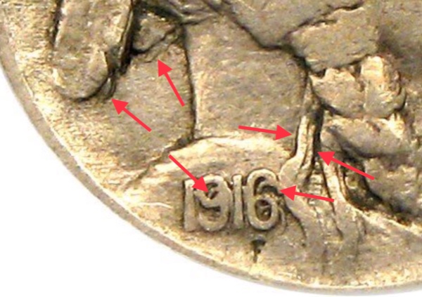 New-Buffalo-Nickel-Arrived-Today