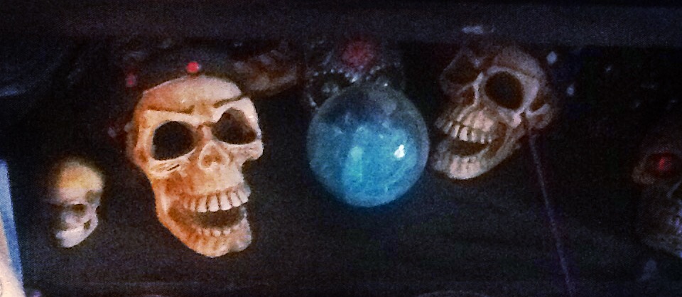 What-Else-Do-You-Collect?
