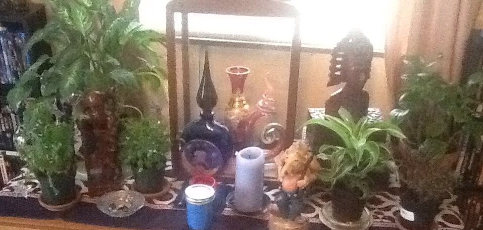 What-Else-Do-You-Collect?