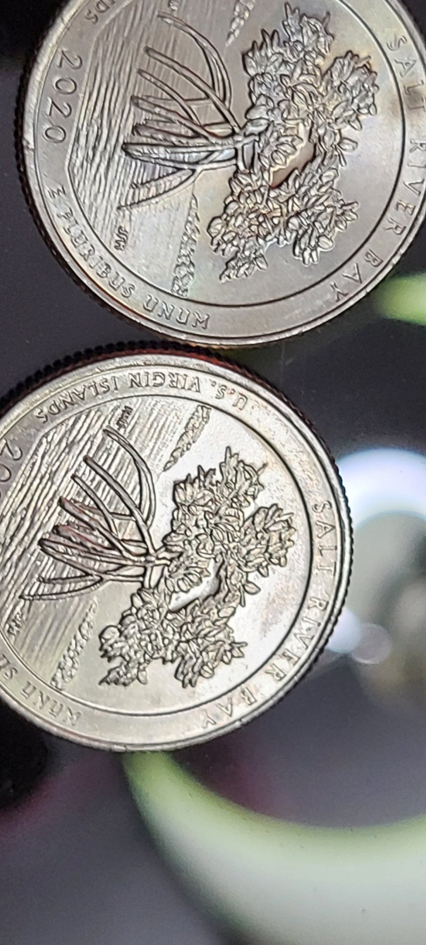 2020-U.s-Virgin-Islands-Possible-Quarter-Error