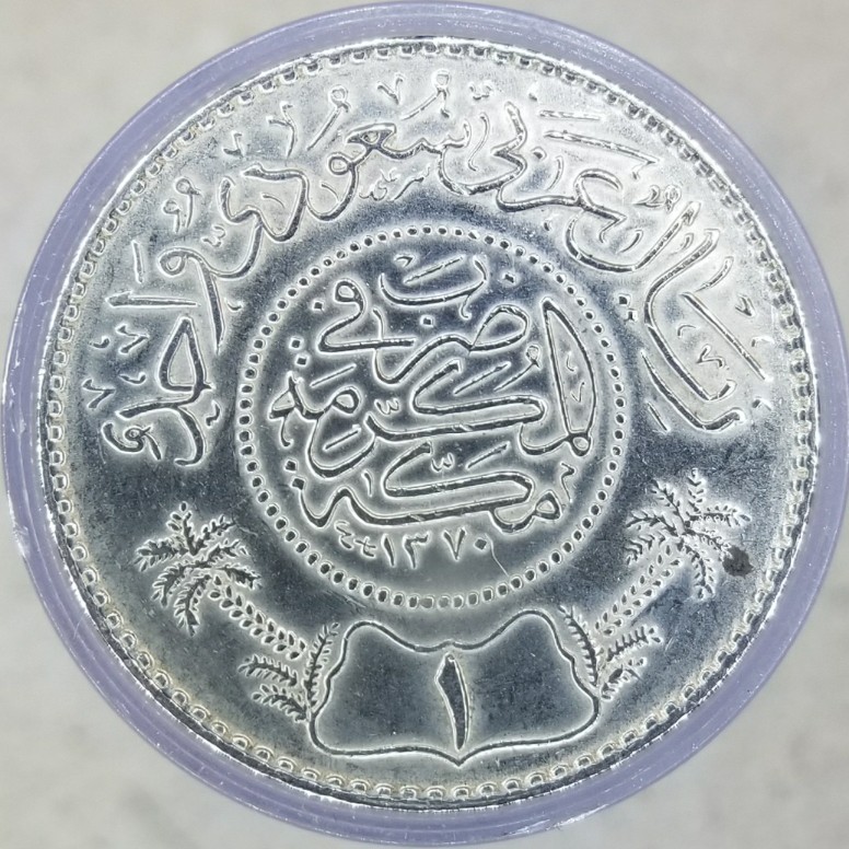 In-My-Half-Dollars---Any-Idea-What-This-Is?