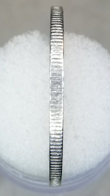 In-My-Half-Dollars---Any-Idea-What-This-Is?