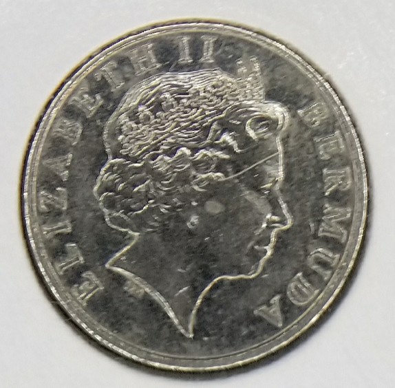 Roll-Searching-Finds---Need-Opinions