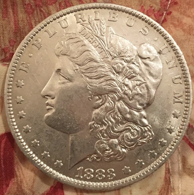 1883-Morgan-Silver-Dollar-Needs-Grading