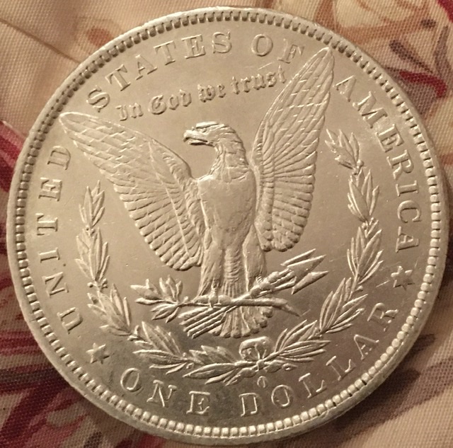 1883-Morgan-Silver-Dollar-Needs-Grading