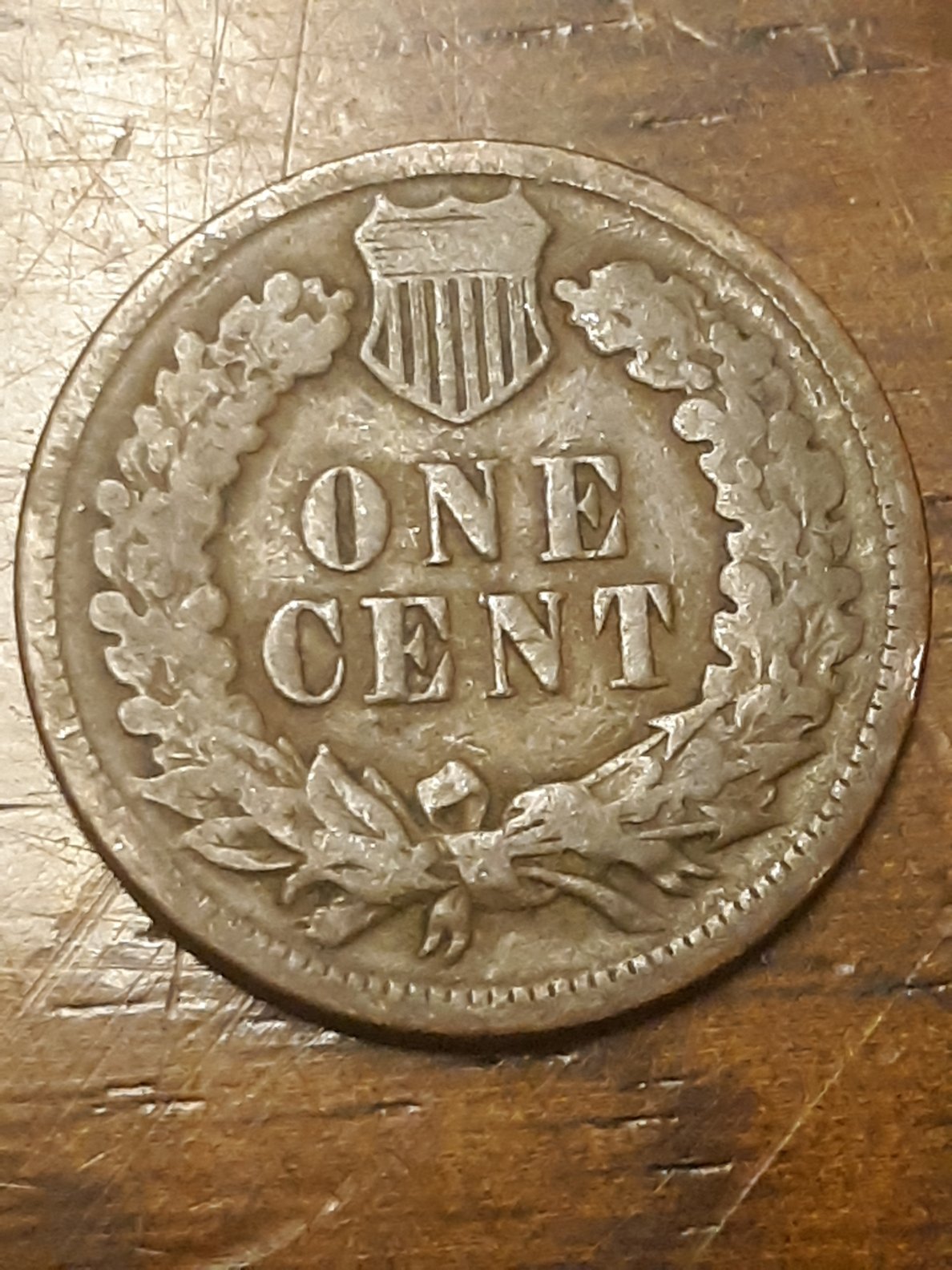 Found-My-First-Indian-Head-Penny.