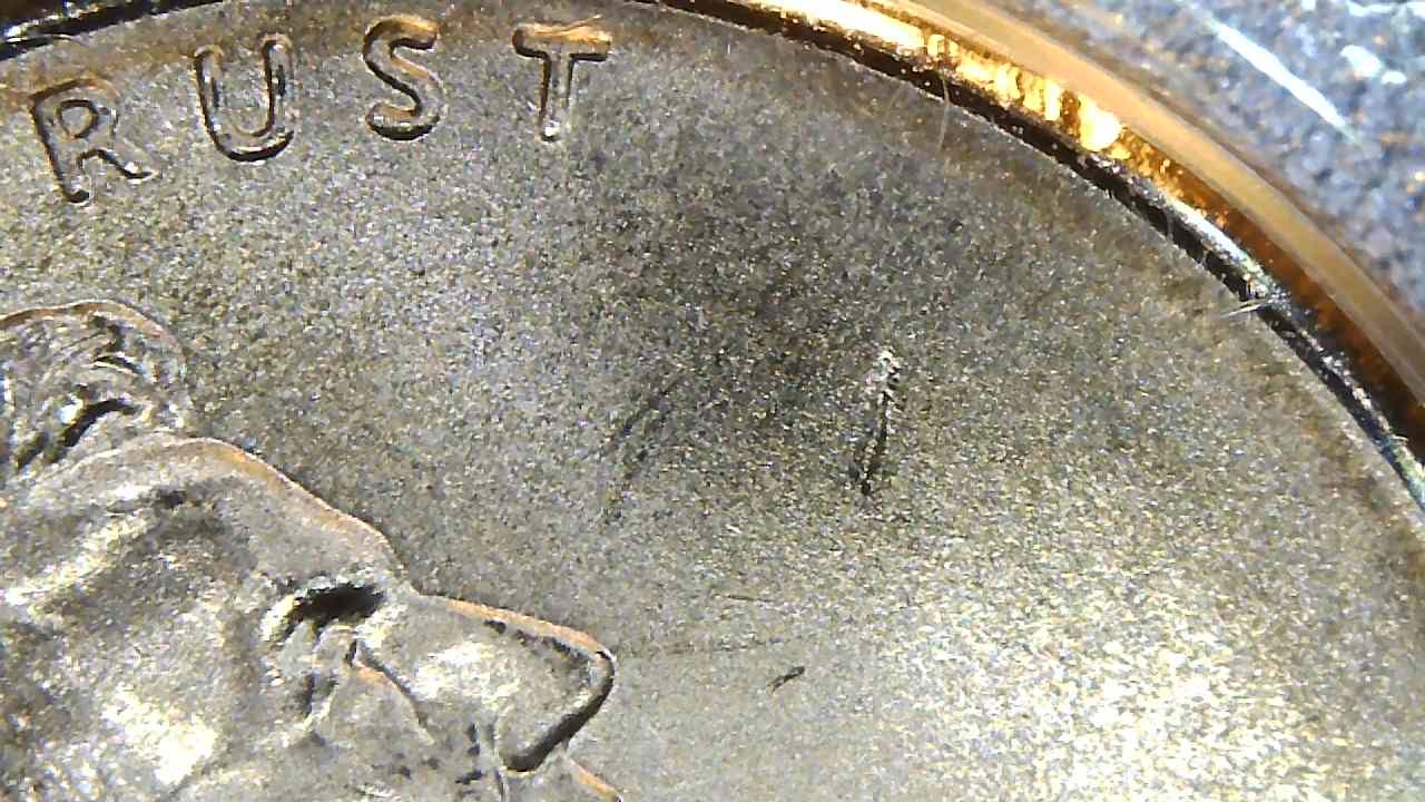 Cool-Cud-Found-In-Unique-2009-Mint-Set
