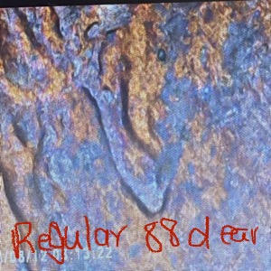 1988-D-Doubled-Ear,-Rotated-Dies,-FG-Initials-With-The-Tail