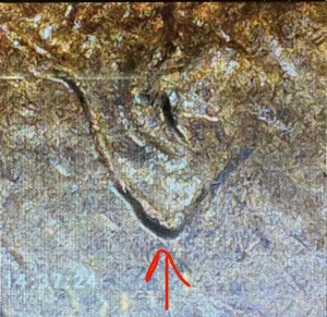 1982-D-Lg-Date-Copper-Penny-DDO?