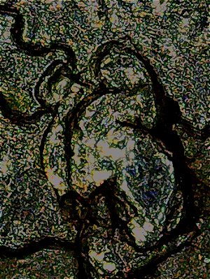 Die-Chip-On-2012-Hawaii-Volcanoes-Quarter